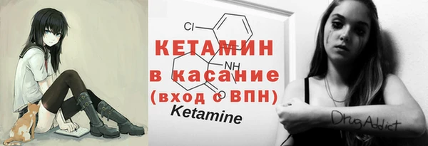 шишки Арсеньев