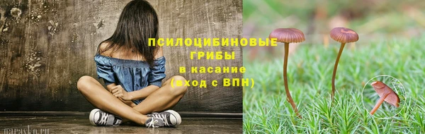 бошки Балахна