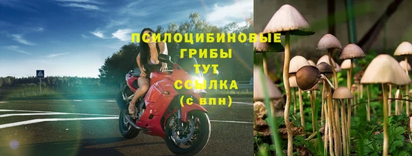 бошки Балахна