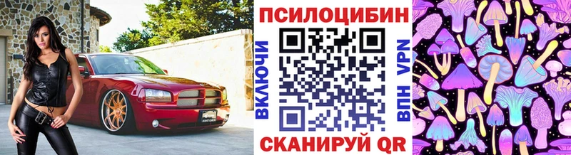 Галлюциногенные грибы GOLDEN TEACHER  наркошоп  Весьегонск 